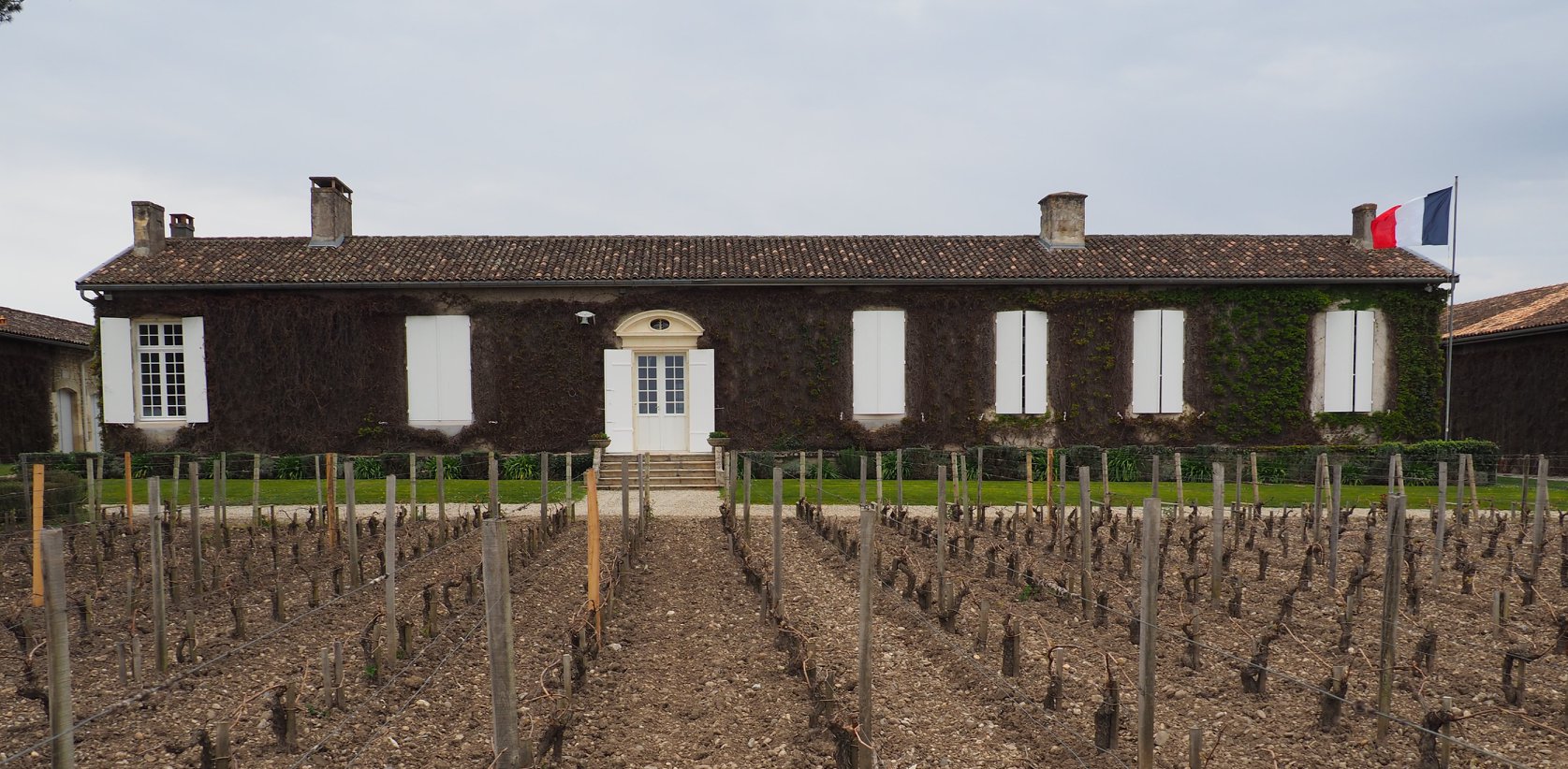 CHATEAU MEYNEY SAINT-ESTEPHE 2019 - Fine Wine Cellars